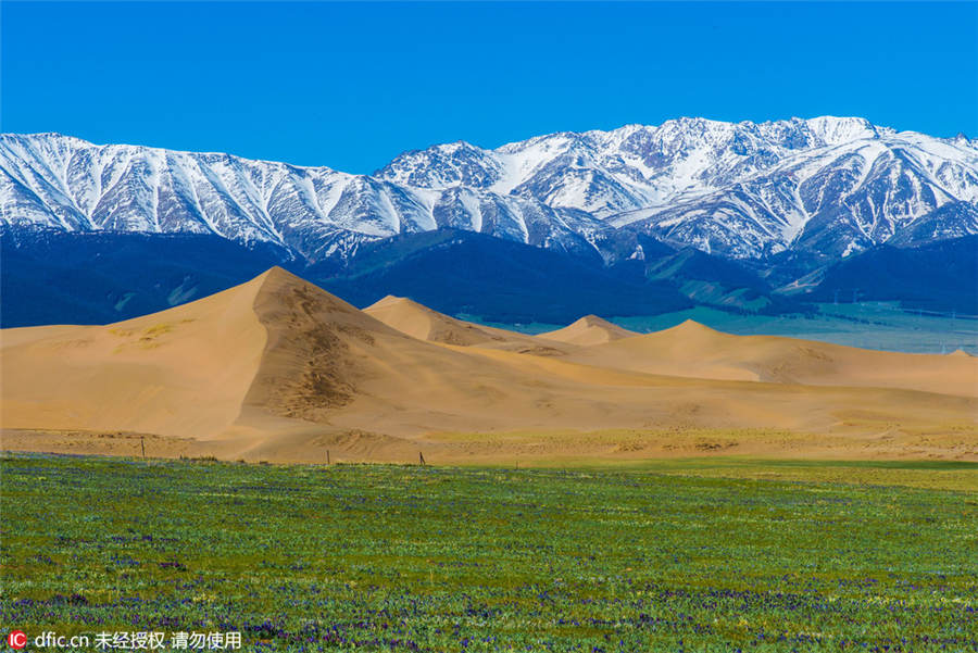 Xinjiang's Barkol grasslands look like a fairyland