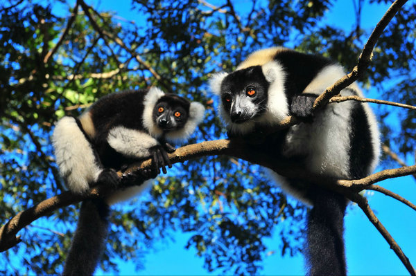 Finding Magic in Madagascar