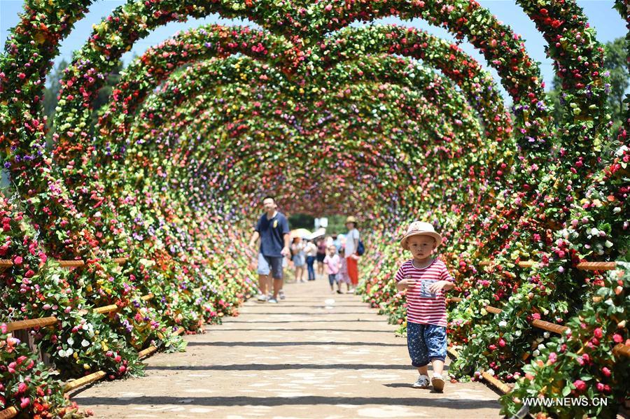 People enjoy flowers in Qijianghengshan valley