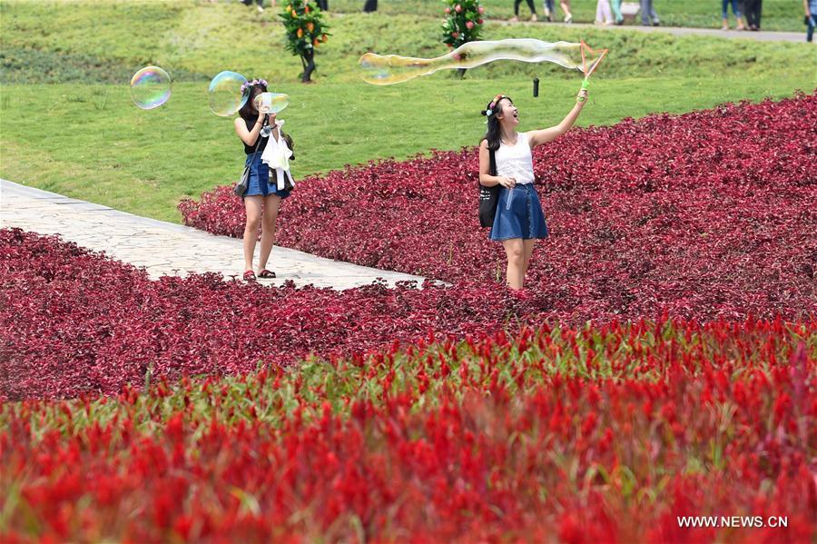 People enjoy flowers in Qijianghengshan valley