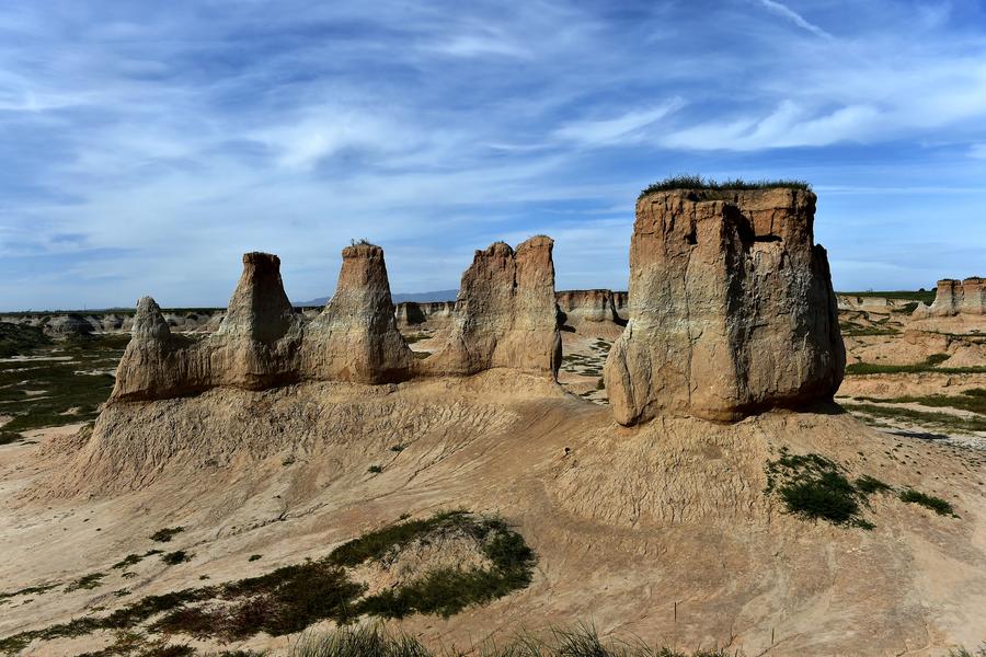 Soil forest in Datong county, N China's Shanxi