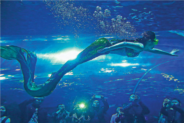 Little Mermaid In An Aquarium