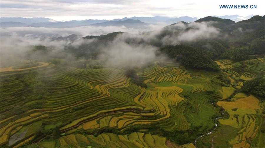 Terraces in Houyuan village, SE China