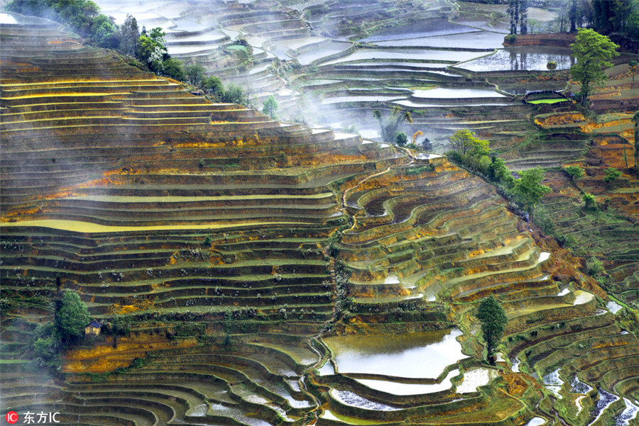 Colorful Yunnan through the lens of Italian photographer