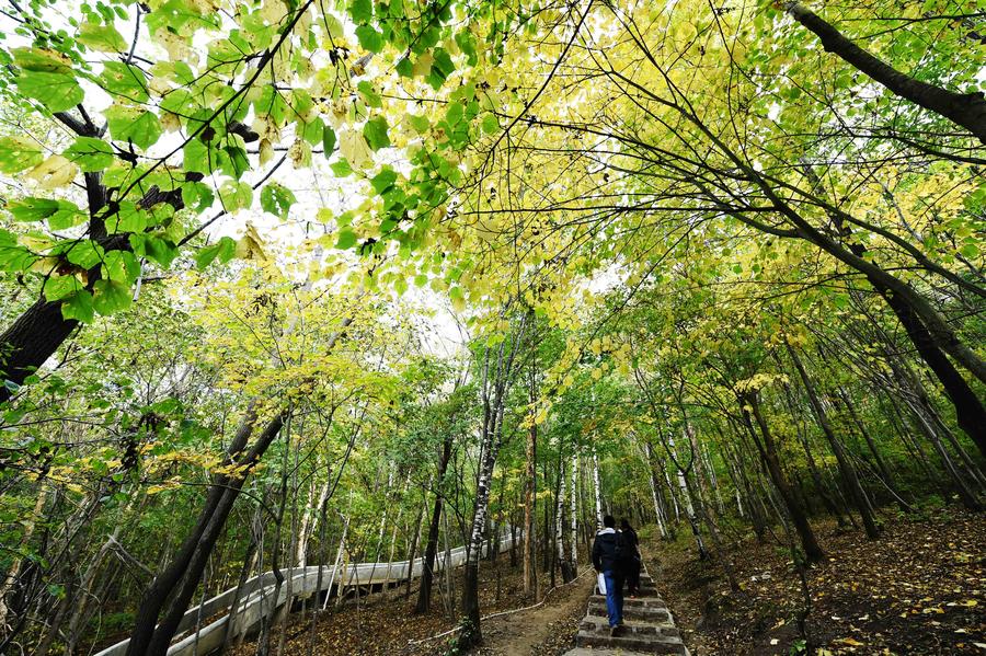 Scenery of Maor Mountain National Forest Park in NE China