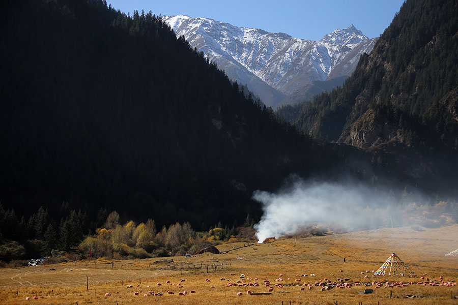 Autumn beauty at the foot of Qilian Mountains