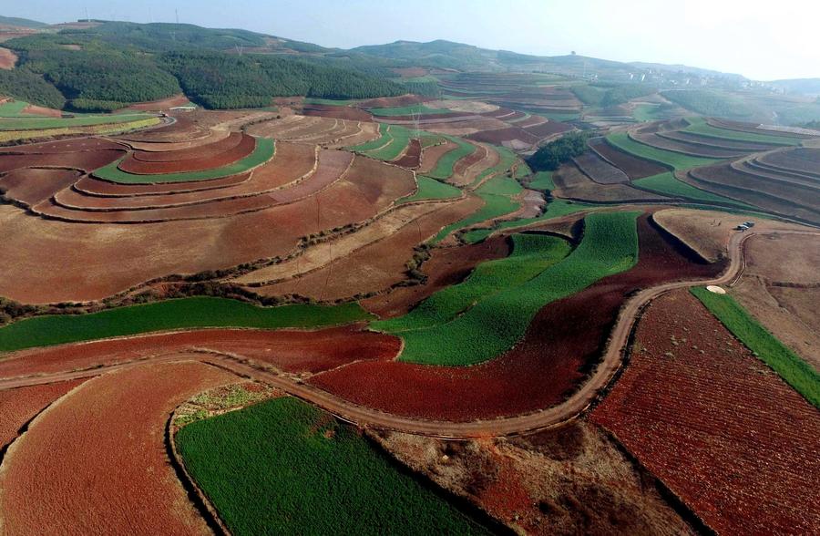 Scenery of red earth terraces in SW China's Kunming