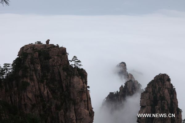 Seas of clouds appear at Huangshan Mountain