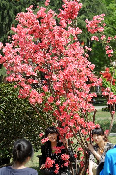 9th China Azalea Exhibition kicks off in Nanjing