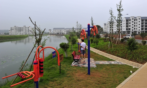 The Dream of Beauty 'Lotus'