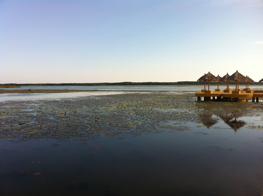 Picturesque scenery of Khanka Lake wetlands