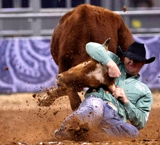 Cowboy's stunt at Houston Rodeo