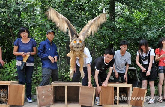 Eagle owls released back into wild