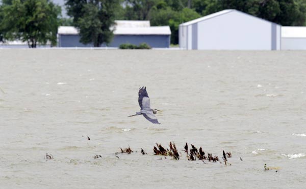 Levees in northern Missouri breached