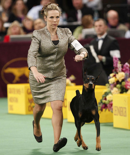 Westminster Kennel Club Dog Show