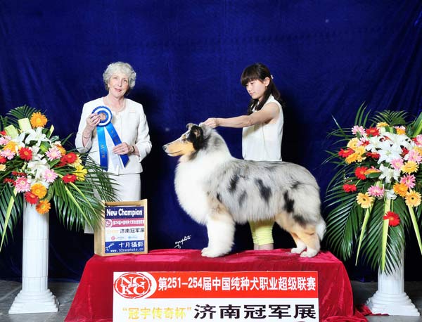 China to be represented in NYC dog show