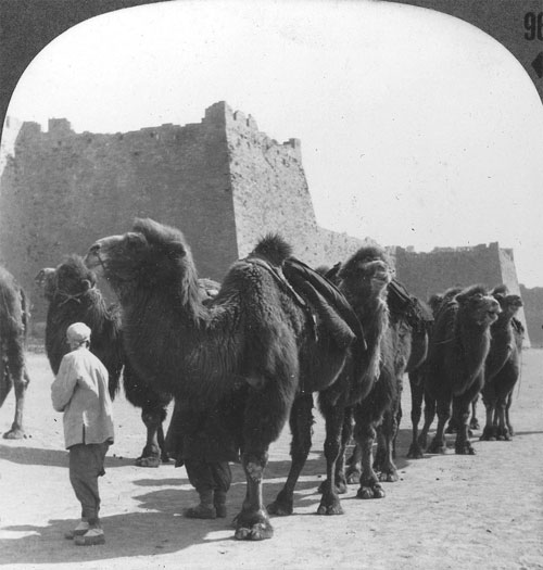 Photos show 1930s China through American eyes
