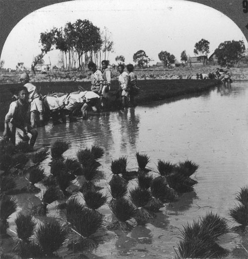 Photos show 1930s China through American eyes