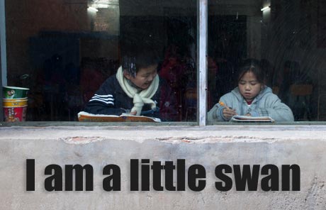 Migrant children: I am a little swan