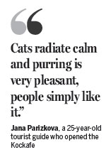 Czech cat cafe boom pairs soothing strokes with java jolts