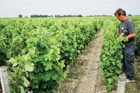 Reds' star rises in East