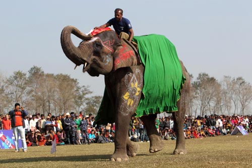 Elephant race in Nepali festival