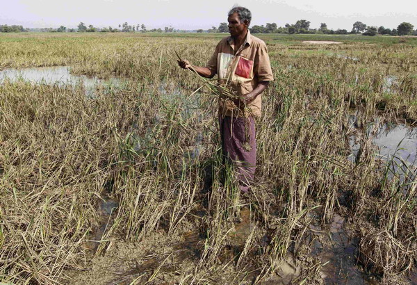 Livelihoods at risk after floods in Sri Lanka