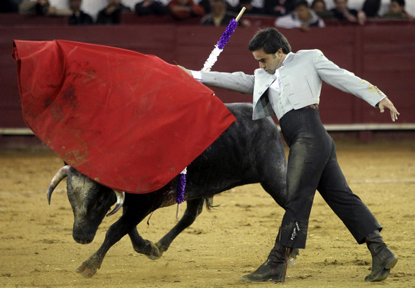 Bull fighting in Ecuador