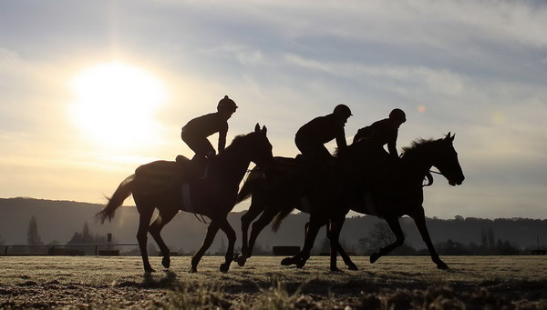 Snapshots: the world in 24 hours March 14