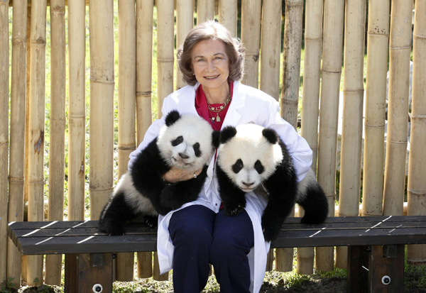 The queen of panda cubs