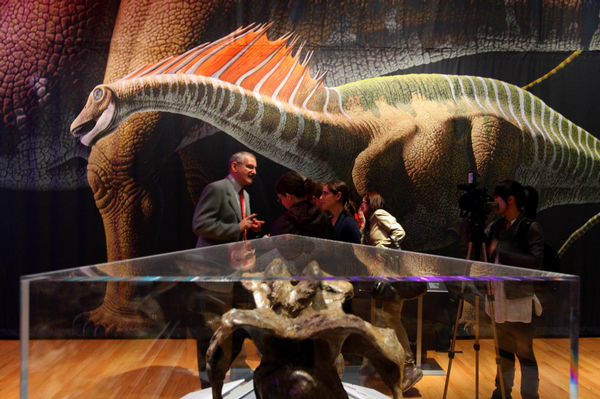 Showcasing the world's largest dinosaurs