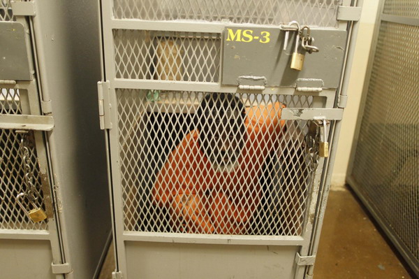 California prison stretched beyond limit