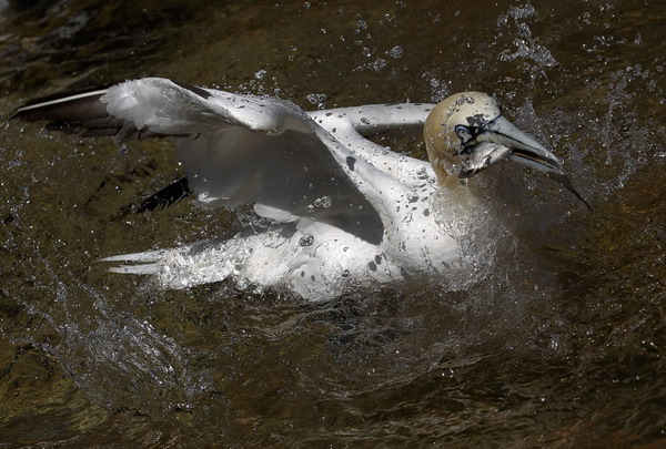 Snapshots: the world in 24 hours, June 27