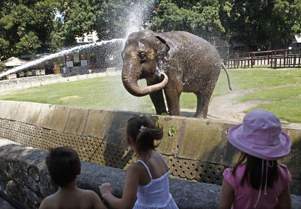 Animals cool off in heat wave