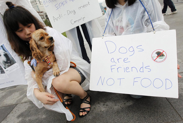 Seoul activists: Dogs are friends, not food