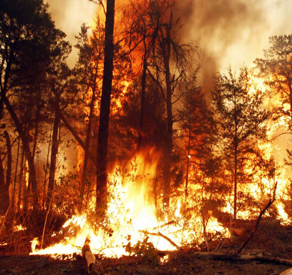 2 dead in Texas wildfires, homes destroyed