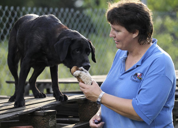 Retired dog of 9/11 keen on search cause