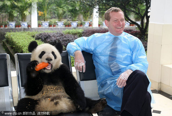 British minister visits pandas to be sent to Edinburgh