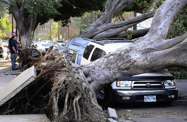 Winds knock out power in S California