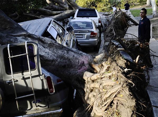 Winds knock out power in S California