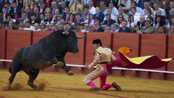 Spanish bullfighting raises dispute