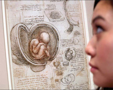 Da Vinci exhibit reveals an anatomist of genius
