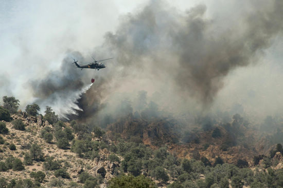 Aerial firefighting in Wellington