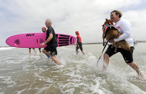 Dogs' incredible performance on surfboard