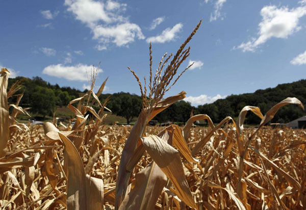 US adds more counties as drought disaster areas