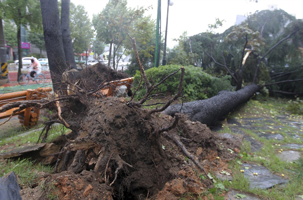 Typhoon Bolaven causes blackouts in S. Korea