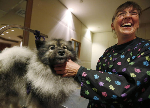 Westminster Dog Show in New York