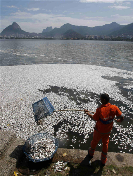 Dead fish wash up on shores of Brazilian lagoon