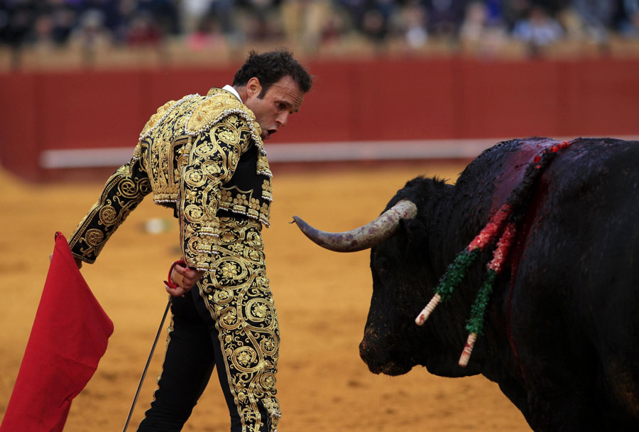 Bullfight, a tradition of Spain