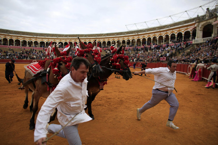 Bullfight, a tradition of Spain